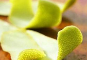 柚子皮能去冰箱異味嗎？為什么柚子皮能去除冰箱的異味？