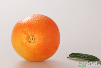 西柚有助于著床？西柚有利于胚胎著床嗎？