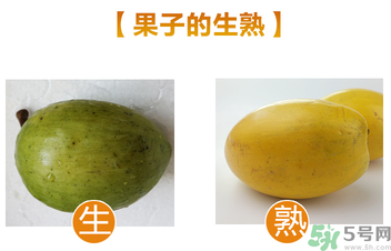 蛋黃果多少錢一斤？蛋黃果什么時候成熟？