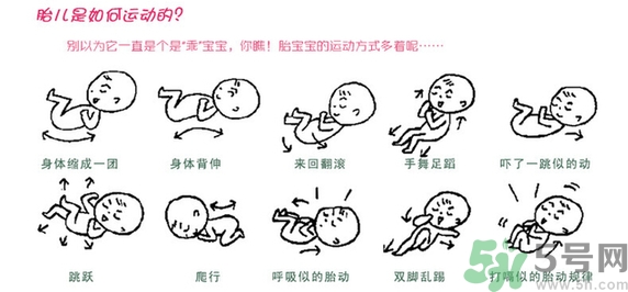 胎動(dòng)怎么數(shù)最正確？胎動(dòng)有什么規(guī)律？