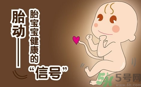 胎動(dòng)怎么數(shù)最正確？胎動(dòng)有什么規(guī)律？