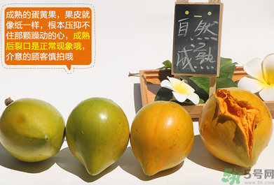 蛋黃果怎么催熟？生的蛋黃果如何催熟？