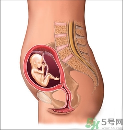 胎動(dòng)頻繁正常嗎?胎動(dòng)頻繁是什么原因？