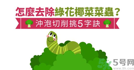 西蘭花里有蟲(chóng)子怎么辦？花椰菜里面好多蟲(chóng)怎么辦？