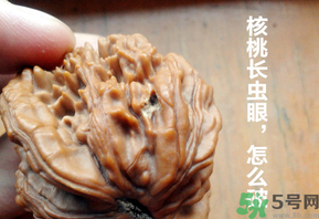 核桃長蟲了還能吃嗎？核桃長蟲子怎么處理？