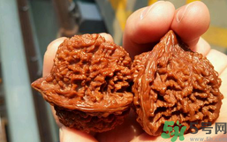 核桃長蟲了還能吃嗎？核桃長蟲子怎么處理？