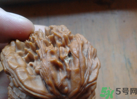 核桃長蟲了還能吃嗎？核桃長蟲子怎么處理？