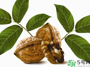 核桃一天吃幾個(gè)合適？核桃一天吃幾個(gè)最好？