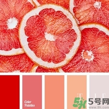 西柚色口紅的牌子哪款好？西柚色口紅有哪些牌子