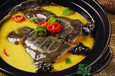 甲魚怎么吃最有營養(yǎng)？甲魚怎么吃最補身體？