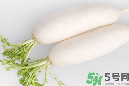 怎么挑白蘿卜好不好？挑選白蘿卜的小竅門