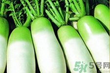 冬天吃白蘿卜好嗎？冬天怎么吃白蘿卜最好？
