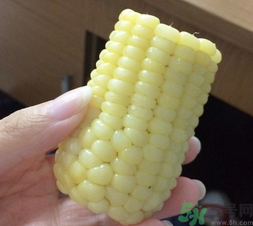 玉米沒煮熟能吃嗎？沒煮熟的玉米能吃嗎？
