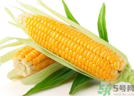 新鮮玉米怎么保存？鮮玉米怎么保存？
