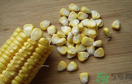 玉米?？梢葬炇裁呆~(yú)？玉米粒釣魚(yú)方法