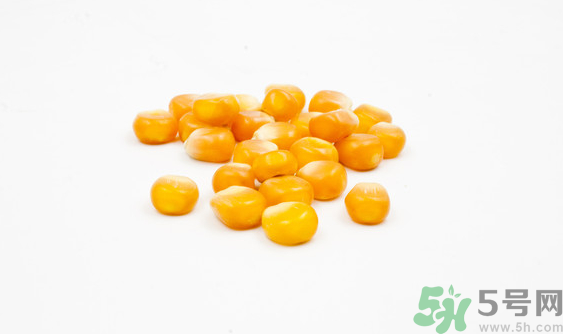 玉米?？梢葬炇裁呆~(yú)？玉米粒釣魚(yú)方法