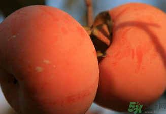 大柿子不能和什么同吃？大柿子和什么食物相克？