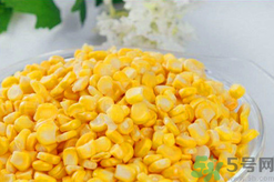 秋天釣魚用什么餌料？秋季釣魚用什么餌料好？