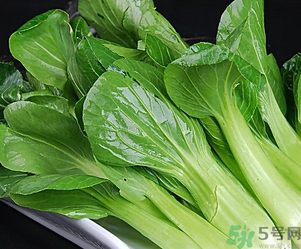 青菜可以放冰箱嗎？青菜能放冰箱保鮮嗎？