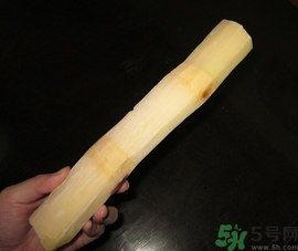 甘蔗可以放冰箱嗎？甘蔗放冰箱能保存多久？