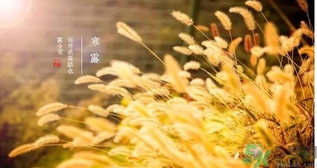 寒露吃什么好？寒露食療