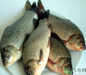 秋天釣鯽魚用什么餌料？秋天釣鯽魚用什么味餌？