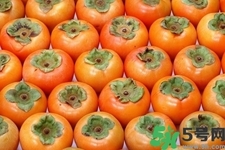 脆柿子是怎么做好吃？脆柿子的制作方法