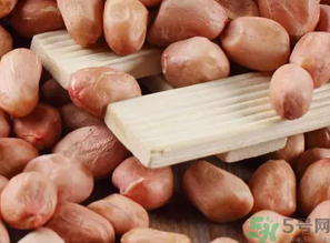 生花生吃多了會(huì)怎么樣？生花生吃多了會(huì)長(zhǎng)胖嗎？