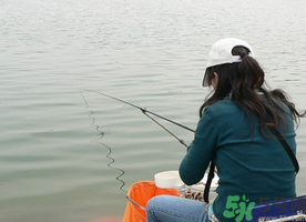 秋天釣鯉魚(yú)用什么味型？秋季釣鯉魚(yú)餌料味型
