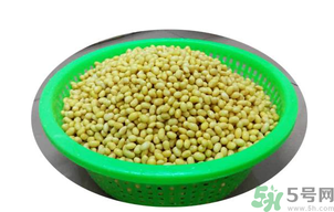 新鮮黃豆怎么保存？新鮮黃豆米如何保存？
