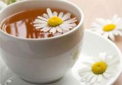 寒露喝什么茶好？寒露喝什么茶最養(yǎng)生？