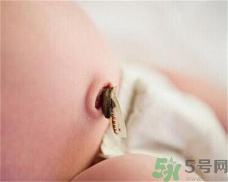 新生兒肚臍怎么護理？新生兒肚臍什么時候掉？