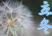 立冬可以釣魚嗎？立冬釣魚注意事項