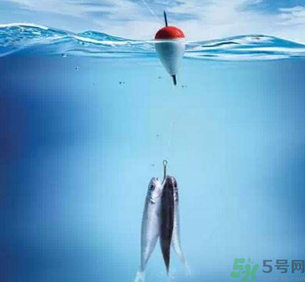 秋天釣魚深水還是淺水？秋天釣魚釣深水還是淺水？