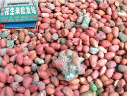 花生米發(fā)霉了還能吃嗎？花生米發(fā)霉了怎么辦？
