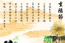 重陽節(jié)吃什么好？重陽節(jié)吃什么食物？
