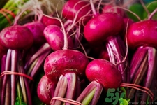 吃甜菜有什么好處？吃甜菜對身體好嗎？
