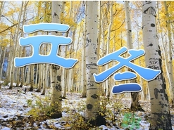 立冬可以栽樹嗎？立冬栽樹樹會死嗎？