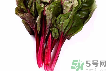 甜菜是甜的嗎？甜菜到底是不是甜的？