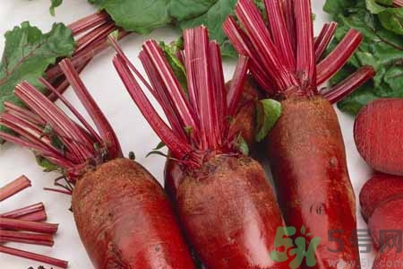 甜菜是甜的嗎？甜菜到底是不是甜的？