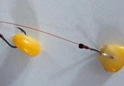 玉米粒怎么釣魚(yú)？怎么用玉米粒釣魚(yú)？