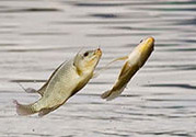 十月份怎么釣魚？十月份釣魚好釣嗎？