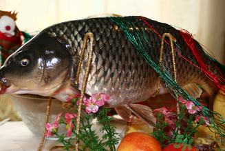 鯉魚死了還能吃嗎？鯉魚死了多久不能吃？