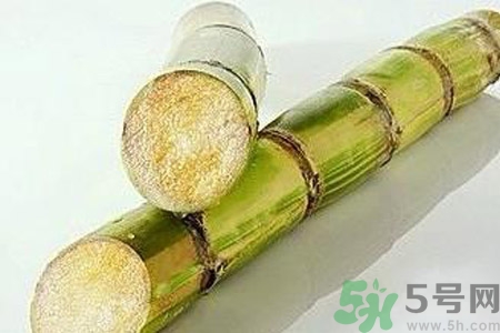 血糖高的人能吃甘蔗嗎？血糖偏高可以吃甘蔗嗎？