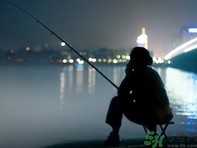 十月份還能夜釣嗎？十月份適合夜釣嗎？