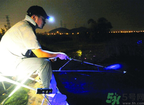 秋天可以夜釣嗎？秋天夜釣技巧