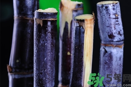 甘蔗一天吃多少最好？甘蔗能每天都吃嗎？