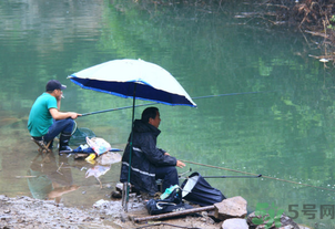 釣的魚怎么保存？釣的魚吃不完怎么保存？