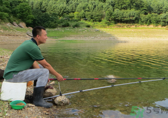 釣的魚怎么保存？釣的魚吃不完怎么保存？