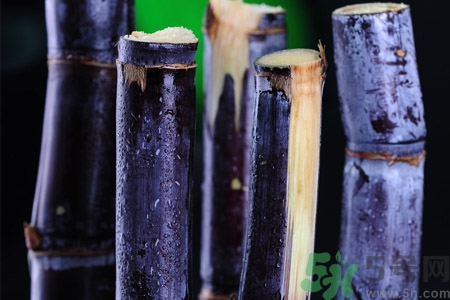 老人一天吃多少甘蔗最好？老人一天吃多少甘蔗合適？